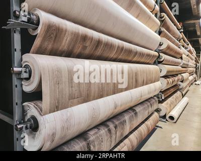 Rack métallique avec des échantillons d'assortiment de revêtements de sol linoléum. Étagères dans le magasin de matériel de réparation et à l'intérieur. Banque D'Images