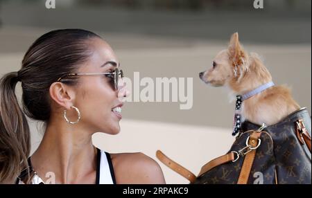 (190514) -- PÉKIN, 14 mai 2019 -- Une femme regarde un chien de compagnie devant la scène pendant la Fashion week Australia à Sydney, Australie, le 13 mai 2019. Mercedes-Benz Fashion week Australia a débuté dimanche à Sydney et durera jusqu'au 17 mai 2019. ) PHOTOS XINHUA DU JOUR BaixXuefei PUBLICATIONxNOTxINxCHN Banque D'Images