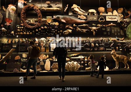 (190518) -- PÉKIN, 18 mai 2019 (Xinhua) -- les visiteurs voient des expositions au Musée d'histoire naturelle de Senckenberg à Francfort, Allemagne, le 15 mai 2019. (Xinhua/lu Yang) PHOTOS XINHUA DU JOUR PUBLICATIONxNOTxINxCHN Banque D'Images