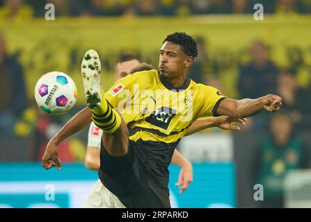 Sebastien Haller, BVB 9 dans le match BORUSSIA DORMUND - 1. FC HEIDENHEIM 2-2 le 1 septembre 2023 à Dortmund, Allemagne. Saison 2023/2024, 1.Bundesliga, BVB, Matchday 3, 3.Spieltag © Peter Schatz / Alamy Live News - LA RÉGLEMENTATION DFL INTERDIT TOUTE UTILISATION DE PHOTOGRAPHIES comme SÉQUENCES D'IMAGES et/ou QUASI-VIDÉO - Banque D'Images