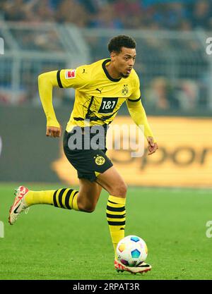 Sebastien Haller, BVB 9 dans le match BORUSSIA DORMUND - 1. FC HEIDENHEIM 2-2 le 1 septembre 2023 à Dortmund, Allemagne. Saison 2023/2024, 1.Bundesliga, BVB, Matchday 3, 3.Spieltag © Peter Schatz / Alamy Live News - LA RÉGLEMENTATION DFL INTERDIT TOUTE UTILISATION DE PHOTOGRAPHIES comme SÉQUENCES D'IMAGES et/ou QUASI-VIDÉO - Banque D'Images