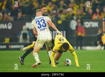 Felix Nmecha, BVB 8 en compétition pour le ballon, attaque, duel, header, zweikampf, action, lutte contre Lennard Maloney, HDH Nr. 33 dans le match BORUSSIA DORMUND - 1. FC HEIDENHEIM 2-2 le 1 septembre 2023 à Dortmund, Allemagne. Saison 2023/2024, 1.Bundesliga, BVB, Matchday 3, 3.Spieltag © Peter Schatz / Alamy Live News - LA RÉGLEMENTATION DFL INTERDIT TOUTE UTILISATION DE PHOTOGRAPHIES comme SÉQUENCES D'IMAGES et/ou QUASI-VIDÉO - Banque D'Images