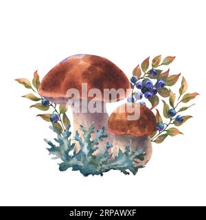 Champignons forêt boletus avec herbe et bleuets. Illustration aquarelle, dessinée à la main, isolée sur fond blanc Banque D'Images