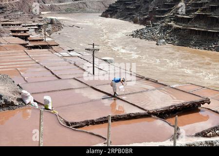 (190523) -- LHASSA, 23 mai 2019 (Xinhua) -- Un villageois verse de la saumure dans des champs salins du comté de Mangkam, région autonome du Tibet du sud-ouest de la Chine, 22 mai 2019. Une ancienne technique de production de sel depuis la dynastie Tang (618-907) est bien conservée dans le comté de Mangkam. Les populations locales suivent une méthode de récolte du sel en recueillant les saumures des mines de sel et des étangs et en les évaporant au soleil jusqu'à cristallisation. (Xinhua/Li Xin) CHINE-TIBET-MANGKAM-PRODUCTION DE SEL (CN) PUBLICATIONxNOTxINxCHN Banque D'Images