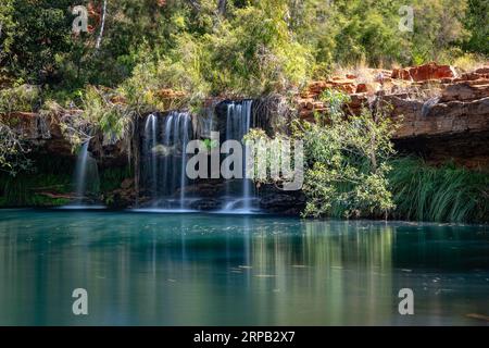 Fern piscine dans le parc national de Karijini, Australie occidentale Banque D'Images