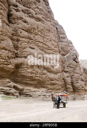 (190601) -- JINGTAI, 1 juin 2019 (Xinhua) -- le villageois Shang Kedong dirige une charrette d'âne à Yellow River Stone Forest Scenic Scenic Spot dans le comté de Jingtai dans la ville de Baiyin, dans la province du Gansu du nord-ouest de la Chine, le 29 mai 2019. Yellow River Stone Forest Scenic Spot est célèbre pour la vue sur le fleuve jaune, les stalagmites en pierre, les piliers en pierre, le dessert ainsi que les oasis, attirant les touristes de Chine et de l'étranger. Profitant des avantages du tourisme, les villageois du village voisin de Longwan offrent des promenades à dos d'âne pour servir les touristes. Jusqu'à présent, il y a un total de 360 ânes impliqués dans cette entreprise. (Xinhua/Zhan Banque D'Images