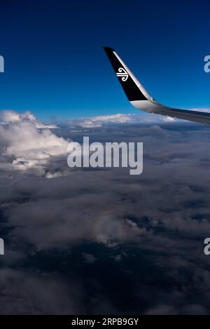 (190602) -- WELLINGTON, 2 juin 2019 (Xinhua) -- une photo prise le 30 octobre 2018 montre un avion d'Air New Zealand dans le ciel. Un avion d'Air New Zealand de Palmerston North à Christchurch a été forcé de revenir le 1 juin 2019 après avoir été frappé par la foudre. L'incident a eu lieu moins de 12 heures après qu'un autre vol d'Air New Zealand d'Auckland à Tahiti a été frappé par la foudre environ 10 minutes après son décollage vendredi soir, ont rapporté les médias locaux. (Xinhua/Guo Lei) NOUVELLE-ZÉLANDE-WELLINGTON-FOUDRE-VOL RETOUR PUBLICATIONxNOTxINxCHN Banque D'Images