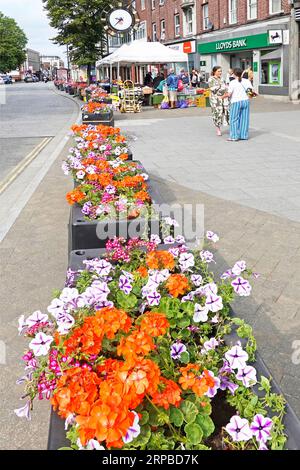 Annuel coloré pétunia & géraniums été literie fleurs longue rangée de jardinières protégeant la chaussée large du parking Brentwood Essex Angleterre Royaume-Uni Banque D'Images