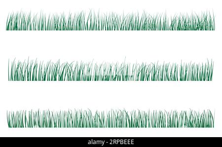 Herbe verte poussant des feuilles étroites Illustration de Vecteur