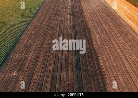 Arroseurs agricoles d'irrigation de roue en champ cultivé, prise de vue aérienne du drone pov, vue à grand angle Banque D'Images