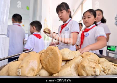 QINGZHOU, CHINE - le 4 SEPTEMBRE 2023 - les élèves reçoivent des brioches cuites à la vapeur à la cassonade à l'école primaire Yanghe dans la ville de Gaoliu, ville de Qingzhou, sud de la Chine orientale Banque D'Images