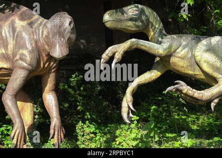 (190619) -- BUDAPEST, 19 juin 2019 -- des sculptures de dinosaures sont exposées au jardin du Musée d'Histoire naturelle de Budapest, Hongrie, le 18 juin 2019.) HONGRIE-BUDAPEST-MUSÉE D'HISTOIRE NATURELLE-SCULPTURES DE DINOSAURES ATTILAXVOLGYI PUBLICATIONXNOTXINXCHN Banque D'Images