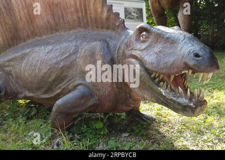 (190619) -- BUDAPEST, 19 juin 2019 -- Une sculpture de dinosaure est exposée au jardin du Musée d'Histoire naturelle de Budapest, Hongrie, le 18 juin 2019.) HONGRIE-BUDAPEST-MUSÉE D'HISTOIRE NATURELLE-SCULPTURES DE DINOSAURES ATTILAXVOLGYI PUBLICATIONXNOTXINXCHN Banque D'Images