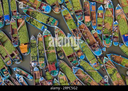 Les agriculteurs vendent des pastèques à des intermédiaires dans un marché flottant bimensuel sur une rivière, dans le district de Barisal, au Bangladesh. Banque D'Images