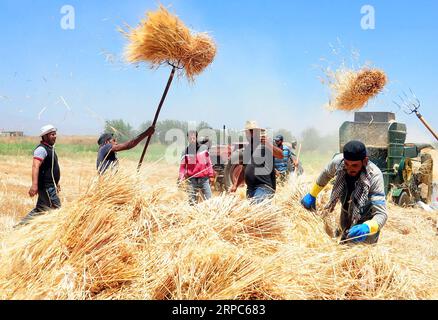 (190625) -- PÉKIN, le 25 juin 2019 -- des agriculteurs récoltent du blé dans la campagne de la Ghouta occidentale, à Damas, en Syrie, le 23 juin 2019. PHOTOS XINHUA DU JOUR AmmarxSafarjalani PUBLICATIONxNOTxINxCHN Banque D'Images