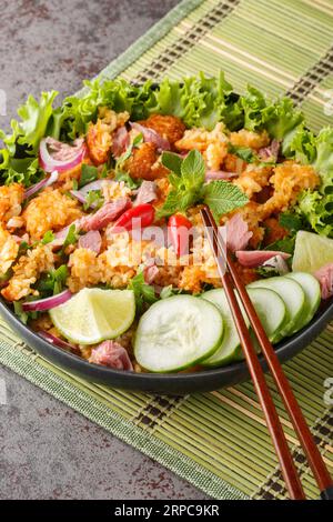 Riz frit avec porc fermenté et légumes nourriture thaïlandaise Khao Pad Naem closeup sur l'assiette sur la table. Vertical Banque D'Images