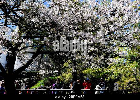 (190629) -- PÉKIN, le 29 juin 2019 -- les touristes apprécient les cerisiers en fleurs sur la montagne Ali, dans le sud-est de la Chine Taiwan, le 12 mars 2019. Taiwan est une île au large de la côte sud-est du continent chinois. Il y a des ressources écologiques abondantes et de nombreux sites pittoresques, y compris la montagne Ali, une célèbre station de montagne et réserve naturelle, le lac Sun Moon, le plus grand lac d'eau douce de l'île, Kenting, entouré d'eau sur trois côtés à l'extrémité sud de Taiwan, le Geopark Yehliu, célèbre pour son paysage d'érosion marine sur la côte nord de Taiwan, et l'île de Lanyu, une île Banque D'Images