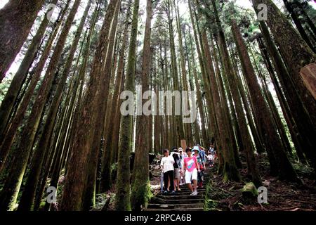 (190629) -- PÉKIN, 29 juin 2019 -- des touristes visitent la montagne Ali, dans le sud-est de la Chine Taiwan, 5 août 2016. Taiwan est une île au large de la côte sud-est du continent chinois. Il y a des ressources écologiques abondantes et de nombreux sites pittoresques, y compris la montagne Ali, une célèbre station de montagne et réserve naturelle, le lac Sun Moon, le plus grand lac d'eau douce de l'île, Kenting, entouré d'eau sur trois côtés à l'extrémité sud de Taiwan, le Geopark Yehliu, célèbre pour son paysage d'érosion marine sur la côte nord de Taiwan, et l'île de Lanyu, une île couvrant une superficie de Banque D'Images