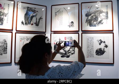 (190630) -- GUIYANG, 30 juin 2019 -- Un visiteur prend des photos d'œuvres d'art du peintre lu Feng au musée d'art lu Feng dans l'ancienne ville de Guiyang à Qingyan, capitale de la province du Guizhou du sud-ouest de la Chine, 29 juin 2019.) CHINA-GUIZHOU-GUIYANG-ART MUSEUM (CN) YANGXYING PUBLICATIONXNOTXINXCHN Banque D'Images