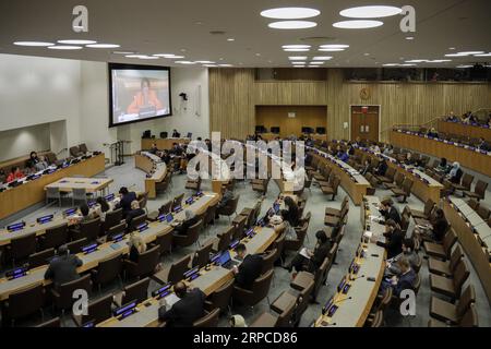 190701 -- NATIONS UNIES, le 1 juillet 2019 -- Christine Schraner Burgener, envoyée spéciale du Secrétaire général des Nations Unies pour le Myanmar, informe la réunion informelle de l'Assemblée générale, au siège de l'ONU à New York, le 1 juillet 2019. ONU-ASSEMBLÉE GÉNÉRALE-RÉUNION INFORMELLE-MYANMAR LIXMUZI PUBLICATIONXNOTXINXCHN Banque D'Images