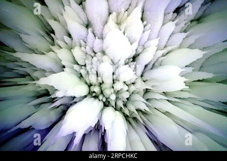 (190705) -- XIANGNING, 5 juillet 2019 -- une photo prise le 5 juillet 2019 montre l'intérieur de la grotte de glace n ° 1 dans la montagne Yunqiu dans le comté de Xiangning, province du Shanxi au nord de la Chine. Le point le plus large de la grotte est d'environ 12 mètres et le point le plus haut est d'environ 15 mètres. Les touristes peuvent profiter des stalagmites de glace, des piliers de glace et des chutes de glace ici.) CHINE-COMTÉ DE SHANXI-XIANGNING-GROTTE DE GLACE (CN) ZHANXYAN PUBLICATIONXNOTXINXCHN Banque D'Images