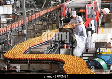 (190708) -- BEIJING, 8 juillet 2019 -- une photo prise le 21 juin 2019 montre la chaîne de production de boissons gazeuses de l'océan Arctique dans le district de Daxing à Beijing, capitale de la Chine. Avec un logo emblématique d'ours polaire, la marque traditionnelle de boissons gazeuses Beibingyang, ou Arctic Ocean en anglais, a enregistré environ 12 millions de caisses en ventes l'année dernière, en hausse de 30 % par rapport à l'année précédente, après plus d'une décennie de silence sur le marché. POUR ALLER AVEC : Découvrez la Chine : la boisson gazeuse nostalgique de Pékin fait son COMEBACK ) CHINA-BEIJING-DRINK BRAND-COMEBACK (CN) RenxChao PUBLICATIONxNOTxINxCHN Banque D'Images