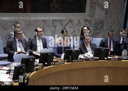 (190709) -- NATIONS UNIES, 9 juillet 2019 -- Gustavo Meza-Cuadra Velasquez (L, front), Représentant permanent du Pérou auprès des Nations Unies et Président du Conseil de sécurité pour le mois de juillet, préside un débat public du Conseil de sécurité des Nations Unies sur le lien entre le terrorisme international et le crime organisé, au siège de l'ONU à New York, le 9 juillet 2019. ) ONU-CONSEIL DE SÉCURITÉ-CONTRE-TERRORISME-DÉBAT PUBLIC LIXMUZI PUBLICATIONXNOTXINXCHN Banque D'Images