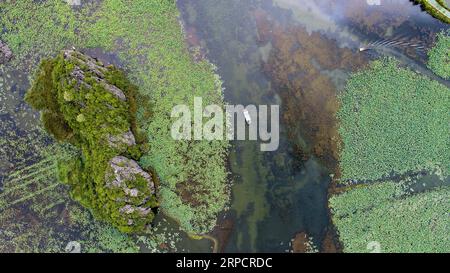 (190712) -- QIUBEI, 12 juillet 2019 -- une photo aérienne prise le 11 juillet 2019 montre des touristes qui prennent un bateau pour voir des fleurs de lotus dans le parc national des zones humides de Puzhehehei dans le comté de Qiubei, dans le sud-ouest de la province du Yunnan.) CHINA-YUNNAN-QIUBEI-PUZHEHEHEI PARC NATIONAL DES ZONES HUMIDES (CN) JIANGXWENYAO PUBLICATIONXNOTXINXCHN Banque D'Images