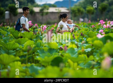 (190712) -- QIUBEI, le 12 juillet 2019 -- les visiteurs voient des fleurs de lotus dans le parc national de zones humides de Puzhehei, dans le comté de Qiubei, province du Yunnan, au sud-ouest de la Chine, le 11 juillet 2019.) CHINA-YUNNAN-QIUBEI-PUZHEHEHEI PARC NATIONAL DES ZONES HUMIDES (CN) JIANGXWENYAO PUBLICATIONXNOTXINXCHN Banque D'Images