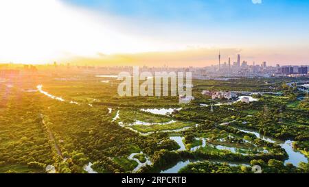 (190712) -- PÉKIN, 12 juillet 2019 -- une photo aérienne prise le 16 juillet 2018 montre une vue panoramique de la zone humide de Haizhu à Guangzhou, capitale de la province du Guangdong du sud de la Chine. Située dans le sud de la Chine, la province du Guangdong fait face à la mer de Chine méridionale et borde les provinces du Hunan et du Jiangxi au nord. Il abrite le célèbre delta de la rivière des perles, composé de trois rivières en amont et d'un grand nombre d'îles. En raison du climat, Guangdong est célèbre pour son système écologique diversifié et son environnement. Ces dernières années, en défendant le principe du développement vert, Guangdong a fait rem Banque D'Images