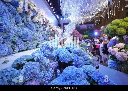 (190712) -- KUNMING, 12 juillet 2019 -- visite de la 20e exposition internationale de fleurs Kunming de Chine au Centre international de congrès et d'exposition Kunming Dianchi à Kunming, capitale de la province du Yunnan du sud-ouest de la Chine, le 12 juillet 2019. Plus de 400 exposants de 19 pays participent à l'expo qui a débuté ici vendredi. ) CHINA-KUNMING-FLOWER EXPO (CN) QinxQing PUBLICATIONxNOTxINxCHN Banque D'Images