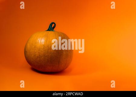 Décoration sur le thème Halloween avec fond solide Banque D'Images