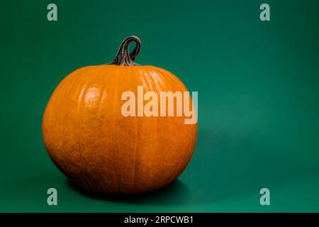 Décoration sur le thème Halloween avec fond solide Banque D'Images