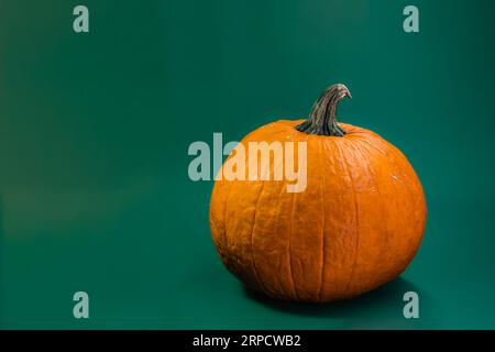 Décoration sur le thème Halloween avec fond solide Banque D'Images