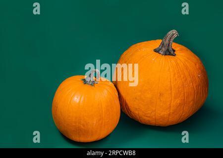 Décoration sur le thème Halloween avec fond solide Banque D'Images