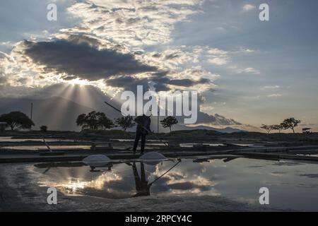 (190716) -- PÉKIN, le 16 juillet 2019 -- Un agriculteur récolte du sel de manière traditionnelle près de la plage de Talise à Palu, Sulawesi central, Indonésie, le 15 juillet 2019.) PHOTOS XINHUA DU JOUR Opan PUBLICATIONxNOTxINxCHN Banque D'Images