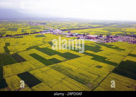 (190718) -- ZHANGYE, 18 juillet 2019 -- une photo aérienne prise le 17 juillet 2019 montre des fleurs de cole près d'une zone de villégiature écologique dans le comté de Minle de la ville de Zhangye, province du Gansu au nord-ouest de la Chine. CHINA-GANSU-ZHANGYE-COLE FLOWER (CN) FANXPEISHEN PUBLICATIONXNOTXINXCHN Banque D'Images