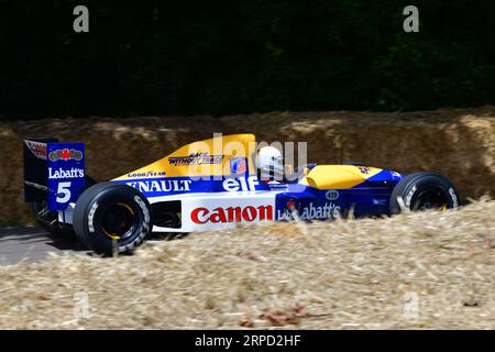 Sebastian Vettel, Williams-Renault FW14B, Grands Prix, Grands Prix, voitures Grand Prix à partir de la simple énergie fossile mécanique simpl Banque D'Images