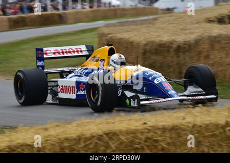 Sebastian Vettel, Williams-Renault FW14B, Grands Prix, Grands Prix, voitures Grand Prix à partir de la simple énergie fossile mécanique simpl Banque D'Images