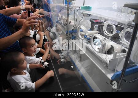 (190723) -- CHONGQING, 23 juillet 2019 -- des enfants voient deux paires de jumeaux panda dans des incubateurs au zoo de Chongqing, dans le sud-ouest de la Chine, Chongqing, 23 juillet 2019. Le zoo de Chongqing a organisé un événement mardi pour célébrer deux paires de jumeaux panda atteignant l'âge d'un mois. Deux pandas géants au zoo de Chongqing ont donné naissance à deux paires de jumeaux le 23 juin. CHINA-CHONGQING-PANDA CUBS (CN) TangxYi PUBLICATIONxNOTxINxCHN Banque D'Images