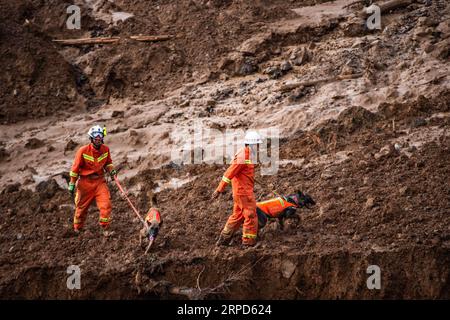 (190724) -- SHUICHENG, 24 juillet 2019 -- des sauveteurs et des chiens de sauvetage recherchent des survivants sur un site de glissement de terrain au village de Pingdi dans le comté de Shuicheng de la ville de Liupanshui, dans le sud-ouest de la Chine, province du Guizhou, 24 juillet 2019. Onze personnes sont mortes après un glissement de terrain qui a frappé le village de Pingdi mardi soir, ont déclaré mercredi les autorités locales. Vers 9:20 h (1320 h GMT) mardi, un glissement de terrain a frappé le village, enterrant 21 maisons. Plus de 50 personnes vivaient dans la zone touchée lorsque le glissement de terrain a frappé, selon les sauveteurs. Vers 11 h (0300 h GMT) mercredi, 11 personnes ont été retrouvées mortes, 11 autres Banque D'Images