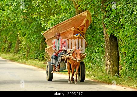 (190801) -- MANIKGANJ, 1 août 2019 (Xinhua) -- un homme conduit une charrette tirée par des chevaux transportant des bateaux à vendre sur un marché dans le district de Manikganj, au centre du Bangladesh, le 31 juillet 2019. Le transport par eau est encore un moyen de communication important au Bangladesh où les bateaux traditionnels et les petits navires sont encore utilisés pour assurer un transport bon marché et pratique. (Str/Xinhua) BANGLADESH-MANIKGANJ-BOAT-BAZAAR PUBLICATIONxNOTxINxCHN Banque D'Images