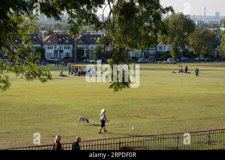Un promeneur de chiens et une communauté d'autres utilisateurs du parc se réunissent avec des propriétés résidentielles suburbaines et des gratte-ciel lointains vus depuis Ruskin Park, un espace vert public à Lambeth, le 2 septembre 2023, à Londres, en Angleterre. Banque D'Images