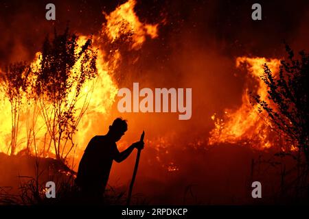 (190807) -- BEIJING, 7 août 2019 -- Un pompier tente d'éteindre un feu de tourbe à Ogan Ilir, Sumatra Sud, Indonésie, 6 août 2019. (Photo de /Xinhua) XINHUA PHOTOS DU JOUR MuhammadxFajri PUBLICATIONxNOTxINxCHN Banque D'Images