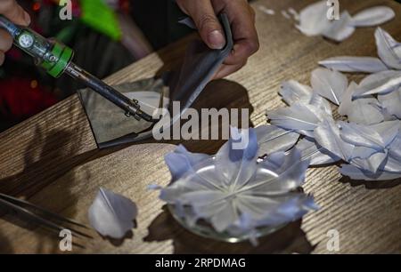 (190807) -- SHIPING, 7 août 2019 -- Zhang Hua fabrique un patchwork de plumes dans son atelier du comté de Shiping, préfecture autonome de Hani-Yi de Honghe, province du Yunnan au sud-ouest de la Chine, 7 août 2019. Né dans le canton de Longpeng dans le comté de Shiping, Zhang Hua, de l'ethnie Yi, s'intéresse à la broderie Yi dès son plus jeune âge et a commencé à apprendre la fabrication de patchwork de plumes depuis 2009. En 2016, Zhang Hua a fondé un studio pour aider les femmes locales à apprendre la broderie et l'art des plumes gratuitement. Puis, avec le soutien du gouvernement local, elle a organisé une coopérative spécialisée dans l’art des plumes pour booster les locaux Banque D'Images