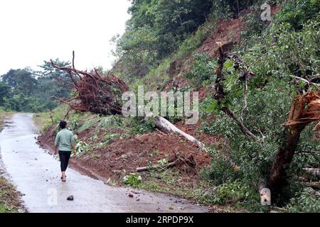 (190809) -- HANOÏ, 9 août 2019 (Xinhua) -- la photo prise le 9 août 2019 montre un glissement de terrain causé par de fortes pluies dans la province de Dak Nong, au Vietnam. Vendredi après-midi, des inondations et des glissements de terrain dans la région des hauts plateaux du centre du Vietnam avaient tué huit personnes, a annoncé le Comité central du pays pour la prévention et le contrôle des catastrophes naturelles. (VNA via Xinhua) VIETNAM-CENTRE HIGHLANDS REGION-INONDATION-GLISSEMENT DE TERRAIN PUBLICATIONxNOTxINxCHN Banque D'Images