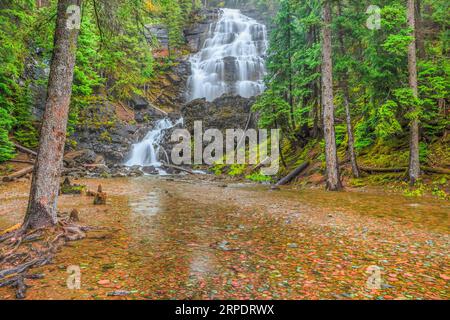 Morrell Creek Falls dans la région de Lolo National forêt près de seeley lake, Montana Banque D'Images