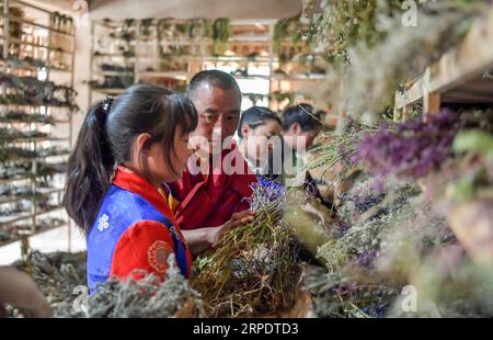 (190811) -- RANGTANG, 11 août 2019 -- un héritier des techniques traditionnelles tibétaines de fabrication d'encens enseigne à ses étudiants dans un atelier d'encens dans le comté de Rangtang, province du Sichuan au sud-ouest de la Chine, 10 août 2019.) CHINE-SICHUAN-RANGTANG-ENCENS (CN) ZhangxChaoqun PUBLICATIONxNOTxINxCHN Banque D'Images