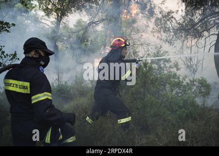 (190813) -- ÎLE D'EVIA (GRÈCE), 13 août 2019 -- des pompiers combattent un feu de forêt près du village de Makrymalli sur l'île d'Evia, Grèce, le 13 août 2019. Les pompiers grecs ont combattu les plus grands incendies de forêt de cet été qui ont fait rage sur deux fronts importants près d'Athènes mardi, ont déclaré les autorités locales. Plus de 500 habitants ont été évacués de trois villages par mesure de précaution, selon les pompiers. (Photo de Nick Paleologos/Xinhua) GRÈCE-ÎLE D'EVIA-FEU DE FORÊT NixKe¤palaiaoluogesi PUBLICATIONxNOTxINxCHN Banque D'Images