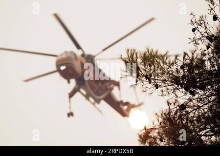 (190813) -- ÎLE D'EVIA (GRÈCE), 13 août 2019 -- Un hélicoptère larguant est vu combattre un feu de forêt près du village de Makrymalli sur l'île d'Evia, en Grèce, le 13 août 2019. Les pompiers grecs ont combattu les plus grands incendies de forêt de cet été qui ont fait rage sur deux fronts importants près d'Athènes mardi, ont déclaré les autorités locales. Plus de 500 habitants ont été évacués de trois villages par mesure de précaution, selon les pompiers. (Photo de Nick Paleologos/Xinhua) GRÈCE-ÎLE D'EVIA-FEU DE FORÊT NixKe¤palaiaoluogesi PUBLICATIONxNOTxINxCHN Banque D'Images